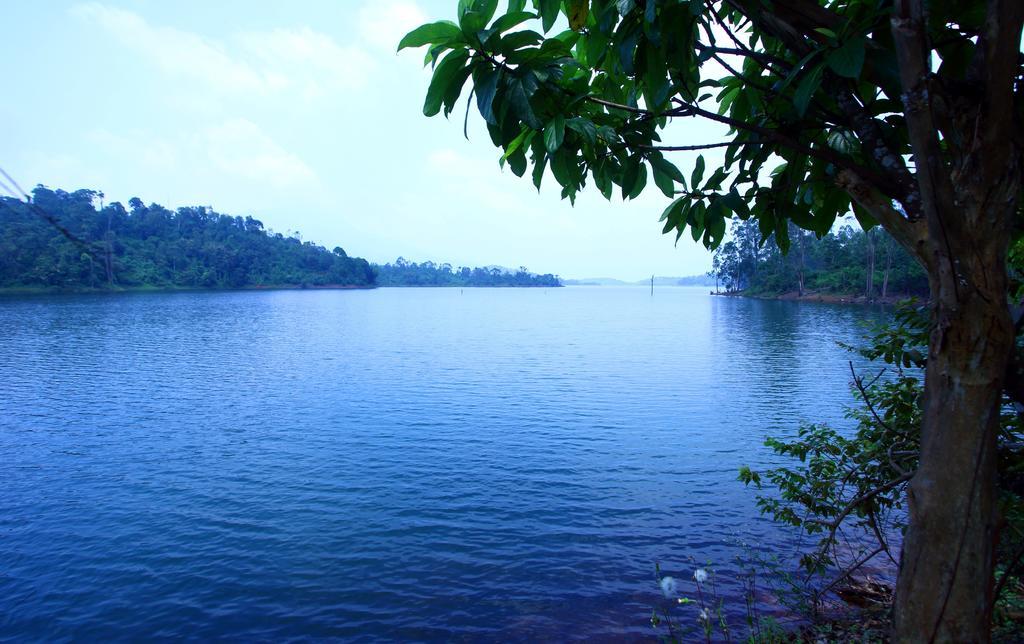 Petals Resorts Wayanad Tariyod Buitenkant foto